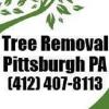 Photo for Tree Removal Pittsburgh PA