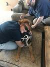 Photo for Rochester Hills Veterinary Hospital