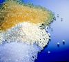 Photo for Hot Melt Adhesives Market: Growth opportunities for this market in the future.
