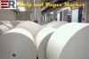 Photo for Global Pulp and Paper Market: Industry Size, Company and Distribution Share Data and Analysis 2025