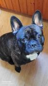 Photo for Testvane Vinagi LLC