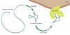 Photo for Aptamers Market : Demand, Global Industry Growth Analysis, Application, Trends and Forecast 2018-2025
