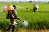 Photo for Crop Protection Chemicals Market Analysis