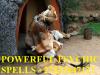 Photo for POWERFUL PSYCHIC/TRADITONAL LOVE SPELLS +27833447127