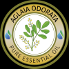 Photo for Global Aglaia odorata flower oil  Industry Market Outlook 2018 – Growth Drivers, Opportunities and Forecast Analysis to 2023
