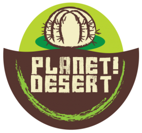 Photo for Planet Desert