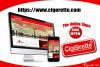 Photo for Quit Smoking Aid Kit - Cigorette.Com