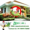 Photo for Termite treatment in Delhi NCR, Dial +91-9899176888