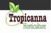 Photo for Tropicanna Horticulture Ltd
