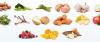 Photo for Prebiotics Market Key Players and Production Information analysis 2025