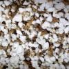 Photo for Global Perlite and Vermiculite Market 2018-2023 :  Price,  Demand,  Type,  Competition, Industry Overview,  Application and   Segment