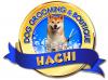 Photo for Hachi Dog Grooming and Boutique