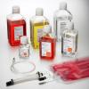 Photo for Global Serum-Free Cell Culture Media Market 2018 : Life Technologies