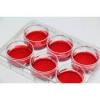 Photo for Global Scaffold Based 3D Cell Culture Market 2018 : GLOBAL CELL SOLUTIONS INC