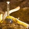 Photo for Global Sandalwood Oil Market 2018-2023 :  Demand,  Type,  Competition,  Application,  Segment,  Price and  Industry Overview