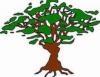 Photo for Fort Myers Tree Service