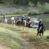 Photo for Cedar Creek Stables