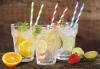 Photo for Huge Collection of Biodegradable Paper Straws at PacknWood.com