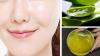 Photo for Aloe Vera Market Revenue Growth Predicted by 2018-2025