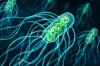 Photo for Antimicrobial Additives Market - Global Industry Insights, Trends, Outlook, and Opportunity Analysis, 2018-2026