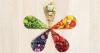 Photo for Phytonutrients Market Potential Growth, Analysis, Strategies and Forecast 2025
