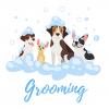 Photo for Four On The Floor Grooming 2