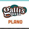 Photo for Mr. Gatti's Pizza