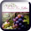 Photo for Bacchus Wine Cellars