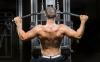 Photo for Best Exercises to Build Your Back Muscles - Endura Gym Supplements