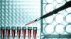 Photo for Molecular Diagnostics Market Increasing Popularity of Healthcare Solutions to Boost Growth
