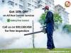 Photo for Bedbugs & Termite treatment Delhi, call +91-9811381458