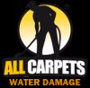 Photo for allcarpetswaterdamage