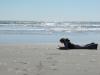 Photo for Shore Thing Writing Getaway - Writing Beyond the Boardwalk
