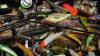Photo for Fishing Tackle Shop