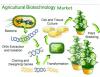 Photo for Agricultural Biotechnology Market Industry Growth, Size, Shares and Analysis 2018-2025