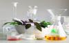 Photo for Cosmeceuticals Market - Global Industry Insights, Trends, Outlook, and Opportunity Analysis, 2018-2026