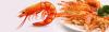 Photo for Shrimp Market Trends, Price, Share and Growth Rate from 2018 to 2025