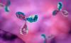 Photo for Protein A Resin Market moving toward 2026 With New Procedures