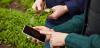 Photo for Connected Agriculture Market Forecast 2024: Top Companies, Trends and Growth Factors Details for Business Development