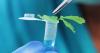 Photo for Biotechnology Reagents Market  Research Forecast : Comprehensive Study