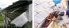 Photo for Reroofing Services in Adelaide