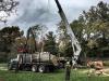 Photo for Daniel's Tree Service
