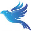 Photo for Denver SEO Service
