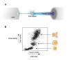 Photo for Neural Cells Crosstalk
