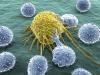 Photo for Glutamatergic synapse pathway