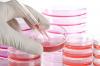 Photo for In-Vitro Toxicology Testing Market Worldwide Trends, Segmentation and Opportunities - Growth by CAGR