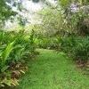 Photo for Hana Maui Botanical Gardens B&B/Vacation Rentals