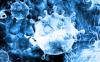 Photo for Pollutants are present everywhere, these can negatively impact your health.