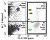 Photo for Cell-Based ELISA Assay