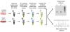 Photo for In Vitro Wound Healing Assay